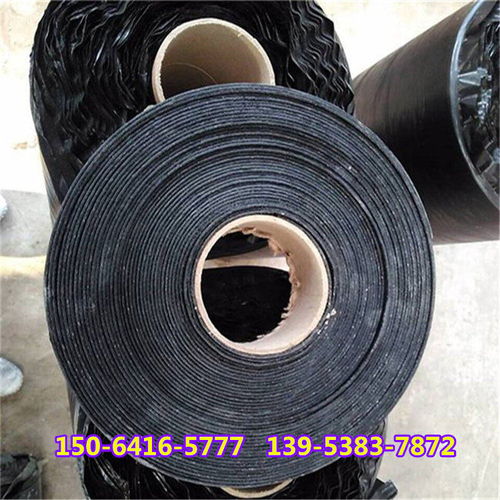 長春聚酯格柵生產(chǎn)一生產(chǎn)